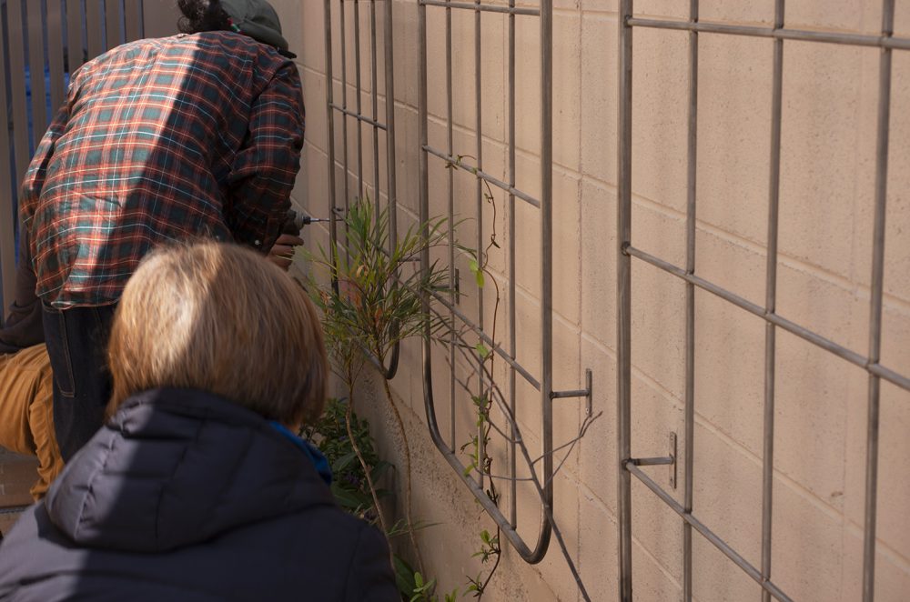 20200319 春音 外構 -5